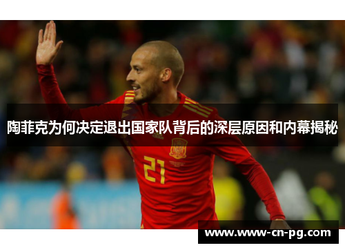 陶菲克为何决定退出国家队背后的深层原因和内幕揭秘