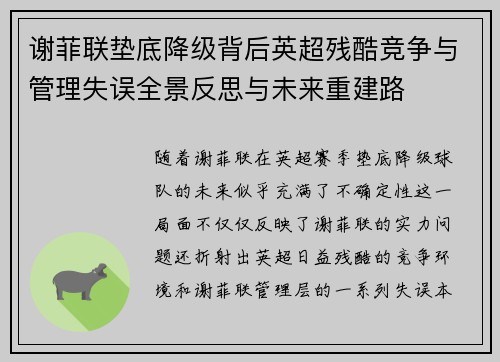 谢菲联垫底降级背后英超残酷竞争与管理失误全景反思与未来重建路