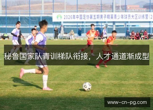 秘鲁国家队青训梯队衔接,人才通道渐成型 秘鲁国家队青训梯队衔接,人才通道渐成型